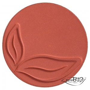 BLUSH n. 4 – Mattone matte